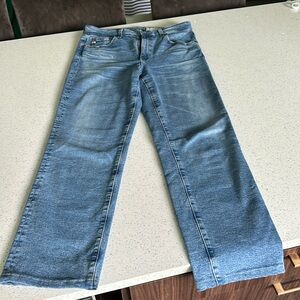 AG DENIM - saige high rise straight - size 29
